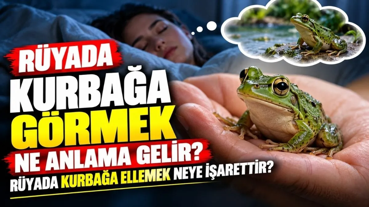 Rüya da kurbağa görmek, Rüya da kurbağa ellemek?
