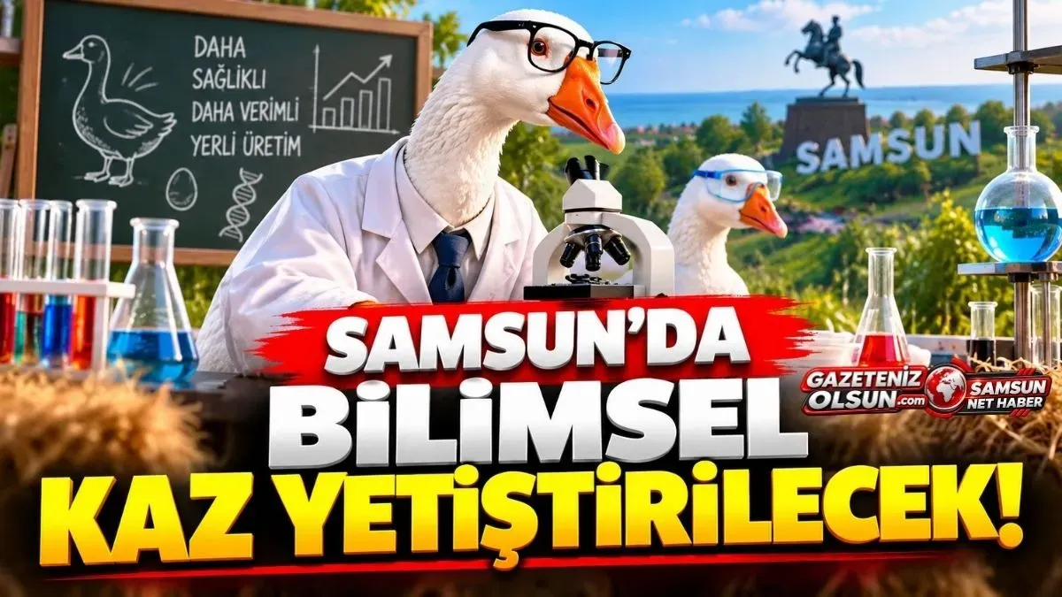 Samsun’da Bilimsel Kaz Yetiştiriciliği İçin İlk Adım Atıldı