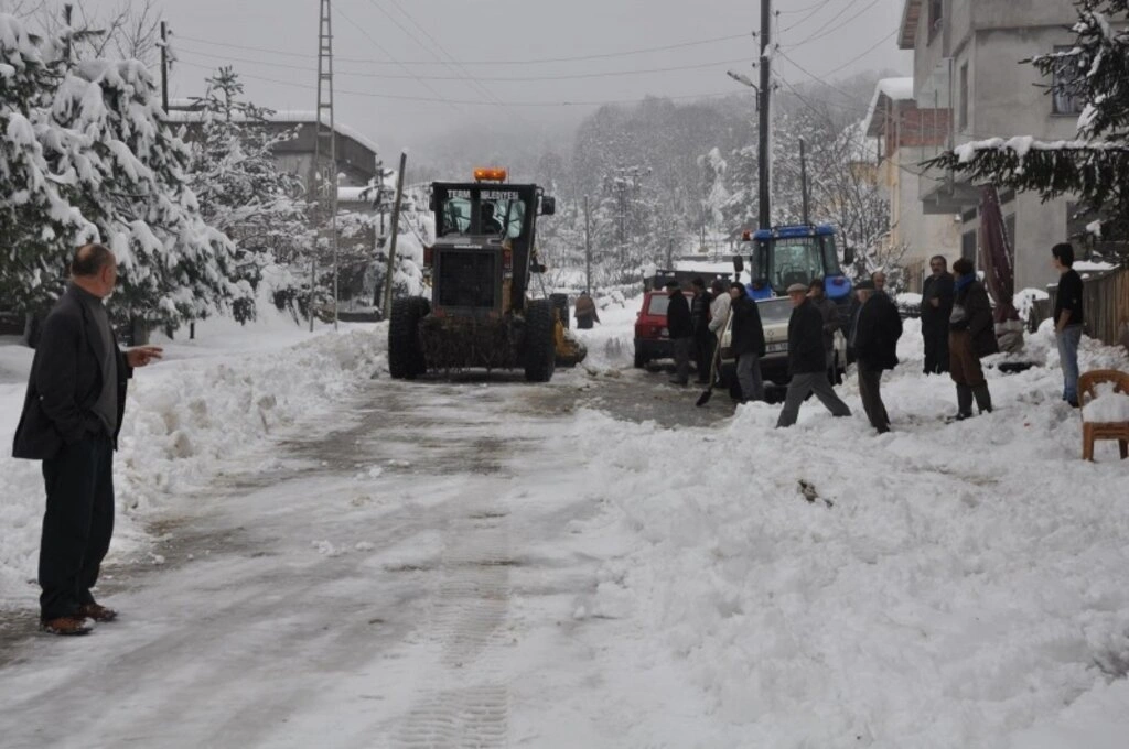 Terme Belediyesi karla mücadele ediyor