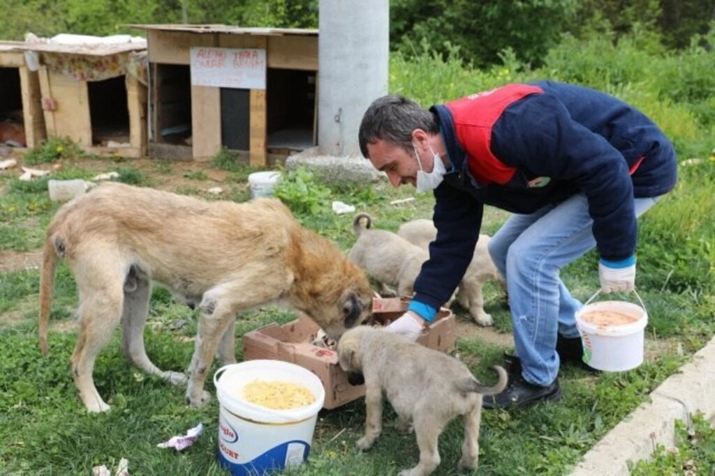 İlkadım'da Tüm Ekipler Sahada