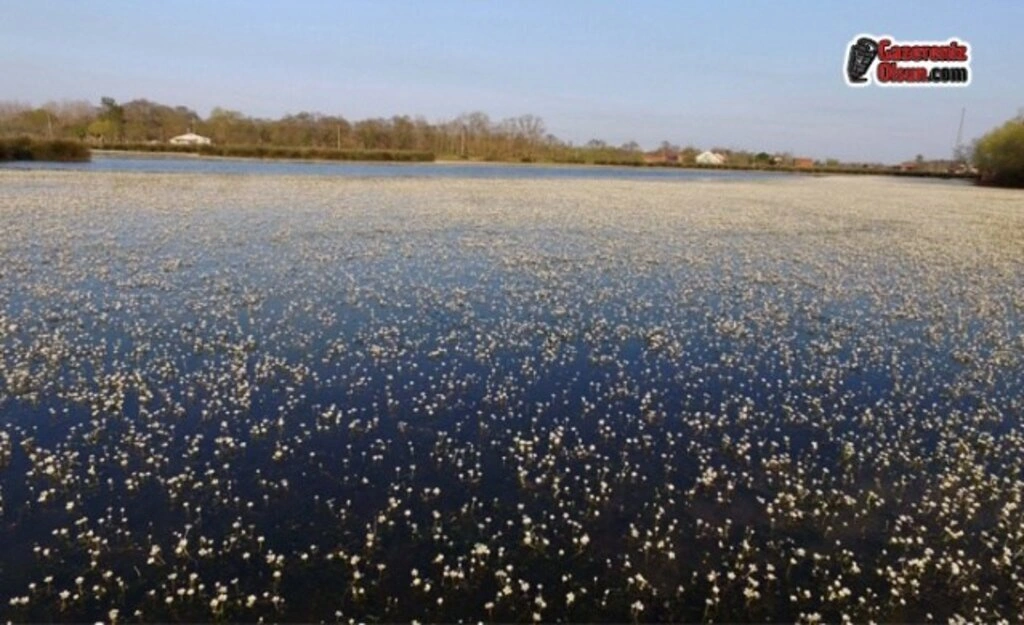 Dünya Mirası Kızılırmak Deltası'nı Gezmek Artık Daha Eğlenceli