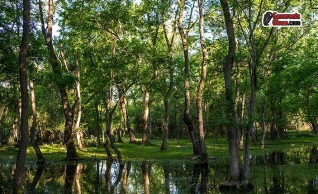 Dünya Mirası Kızılırmak Deltası'nı Gezmek Artık Daha Eğlenceli