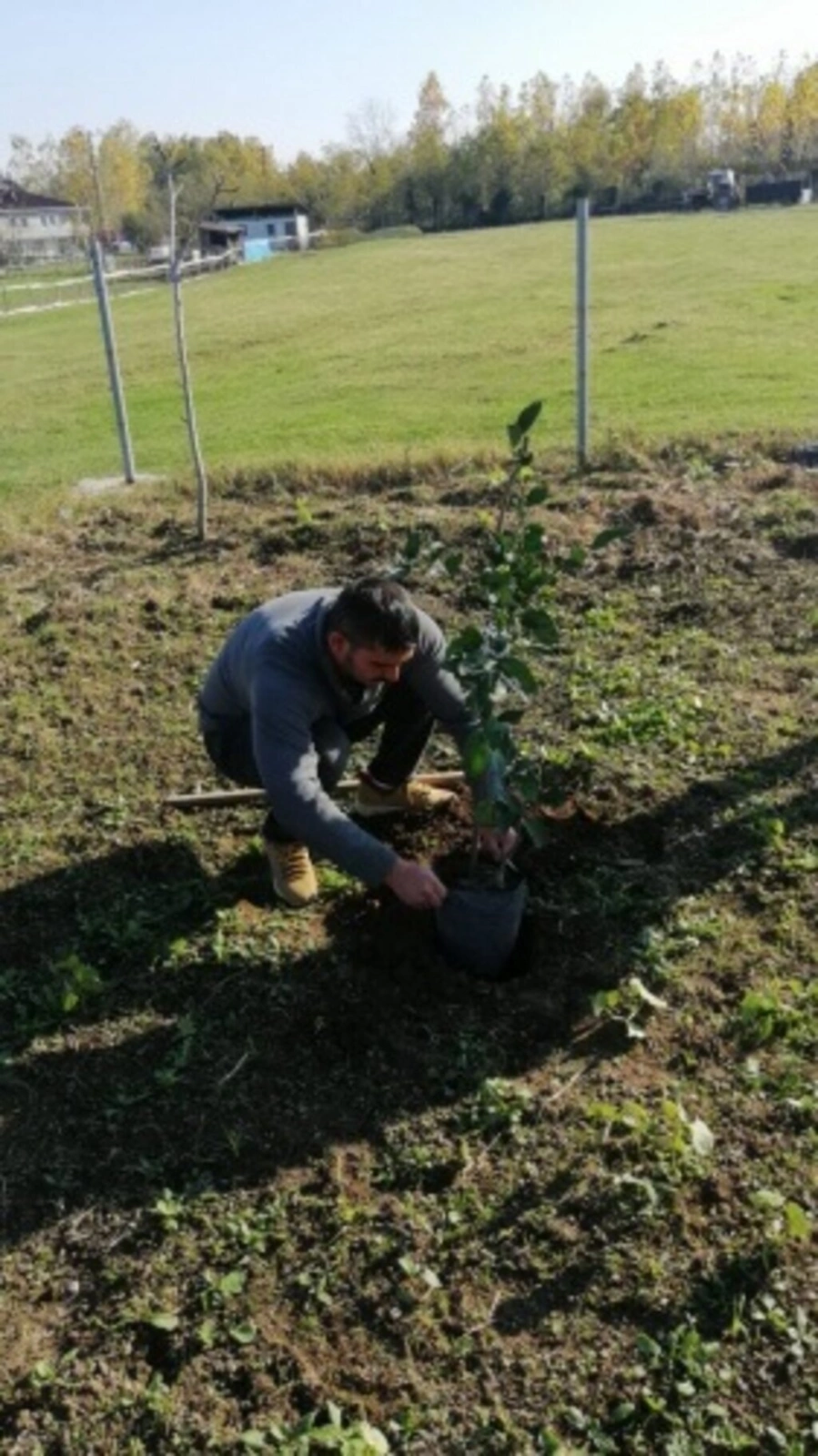 Şimşekler Taraftar Gruplar Birliği bin 500 fidan dikti