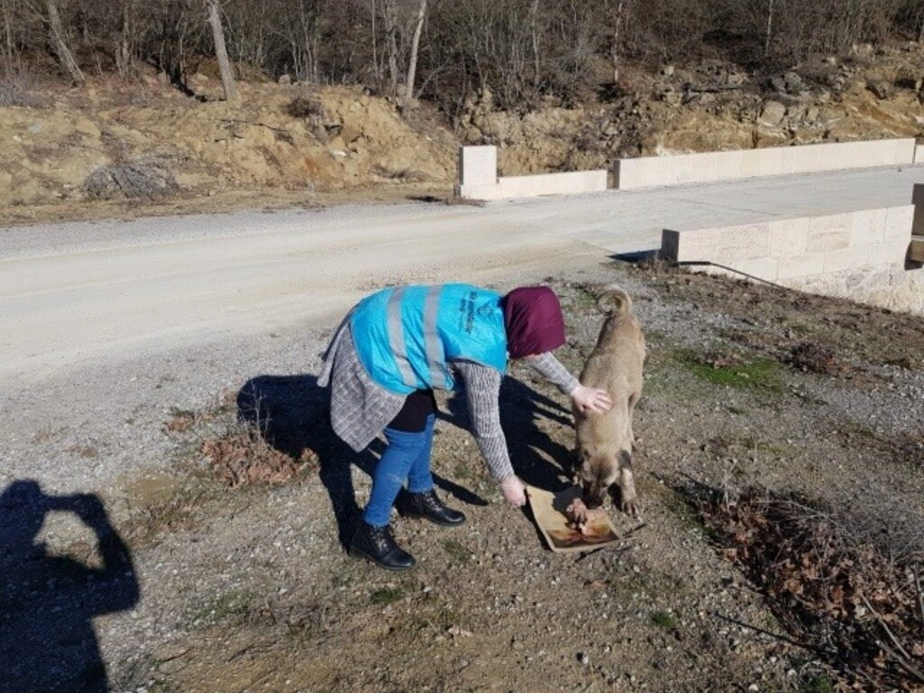 Hayata Anlam Katanlar Derneği yeni yıla da anlam kattı - Samsun Haber