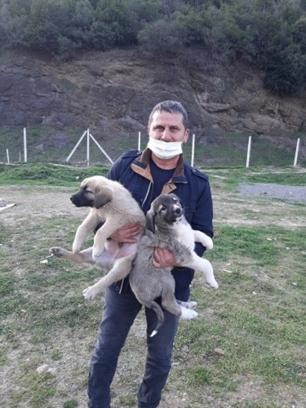 Canik Hayvan Severler Derneği can dostlarına yeni yuvalar kazandırıyor