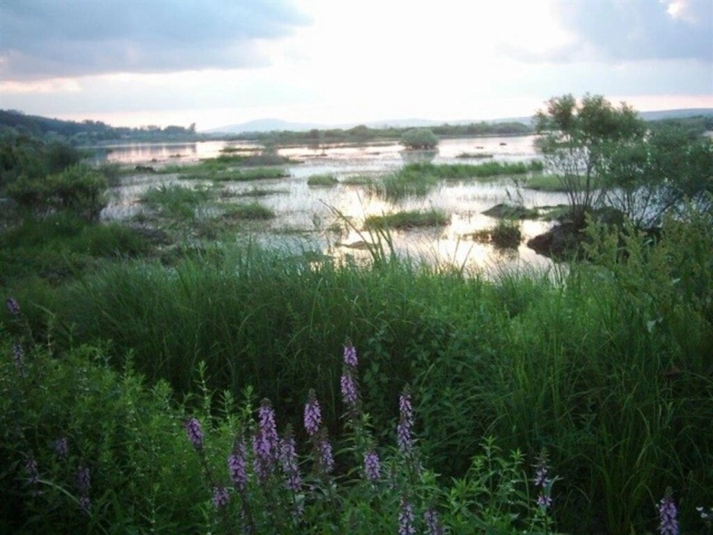 Samsun Ladik Gölü Fotoğrafları