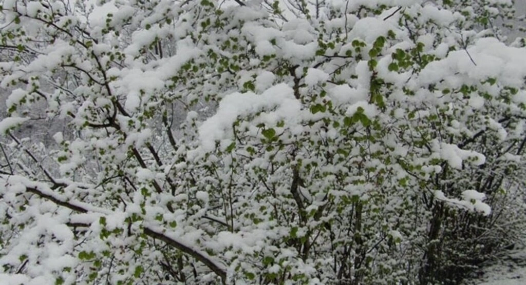 Samsun'a Nisan ayında kar yağdı