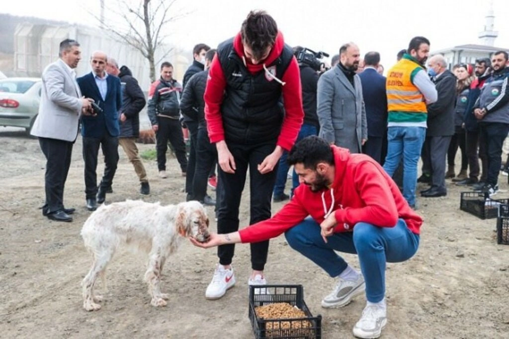 Samsunsporlu sporcular sokak canlılarını besledi