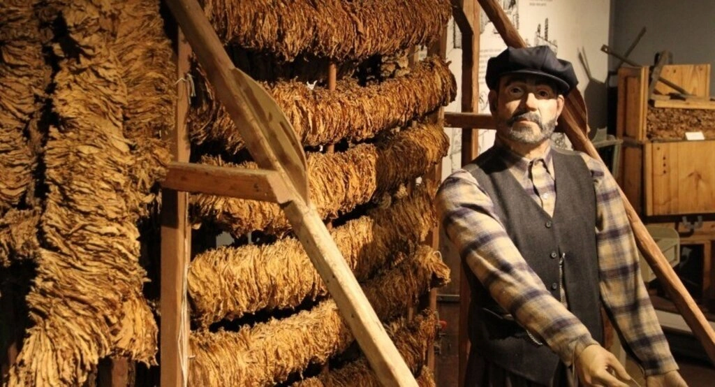 Samsun Kent Müzesi Avrupa'nın en prestijli 6 müzesinden biri seçildi