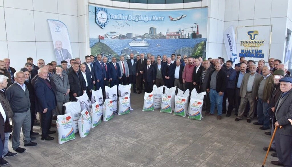 Tekkeköy’de çiftçilere buğday, yonca ve reygras tohumu dağıtıldı