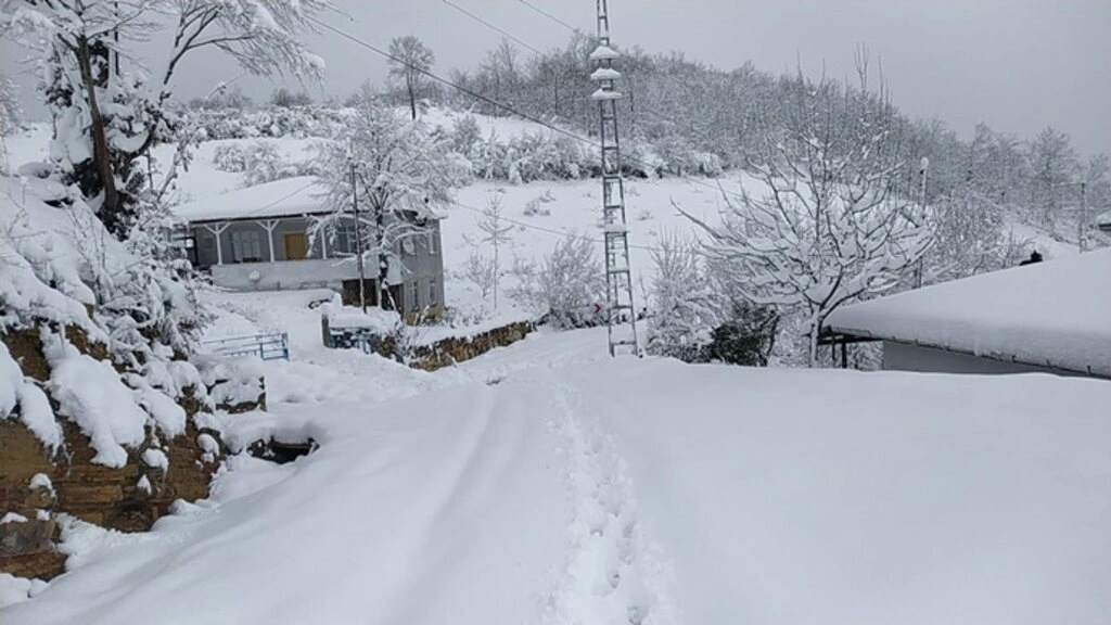 Samsun'da 70 cm Kar, Köpek Karın İçinde Kayboldu! Samsun'dan Kar Manzaraları