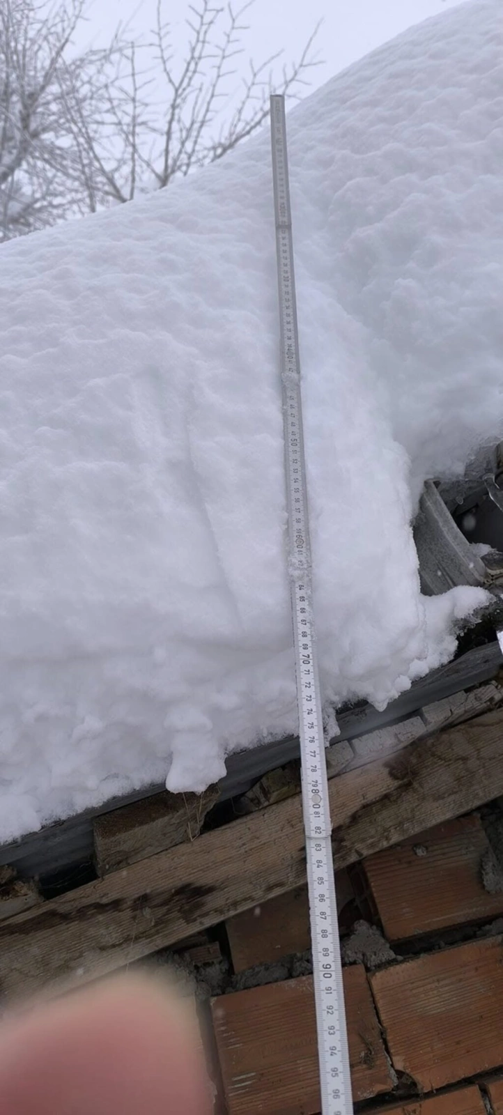 Samsun'da 70 cm Kar, Köpek Karın İçinde Kayboldu! Samsun'dan Kar Manzaraları
