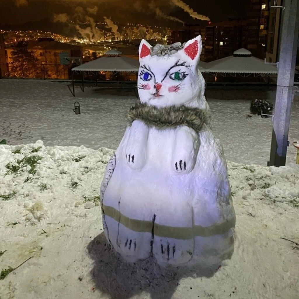 Samsun'da Kar Sanata Dönüştü: Birbirinden İlginç Kardan Adamlar