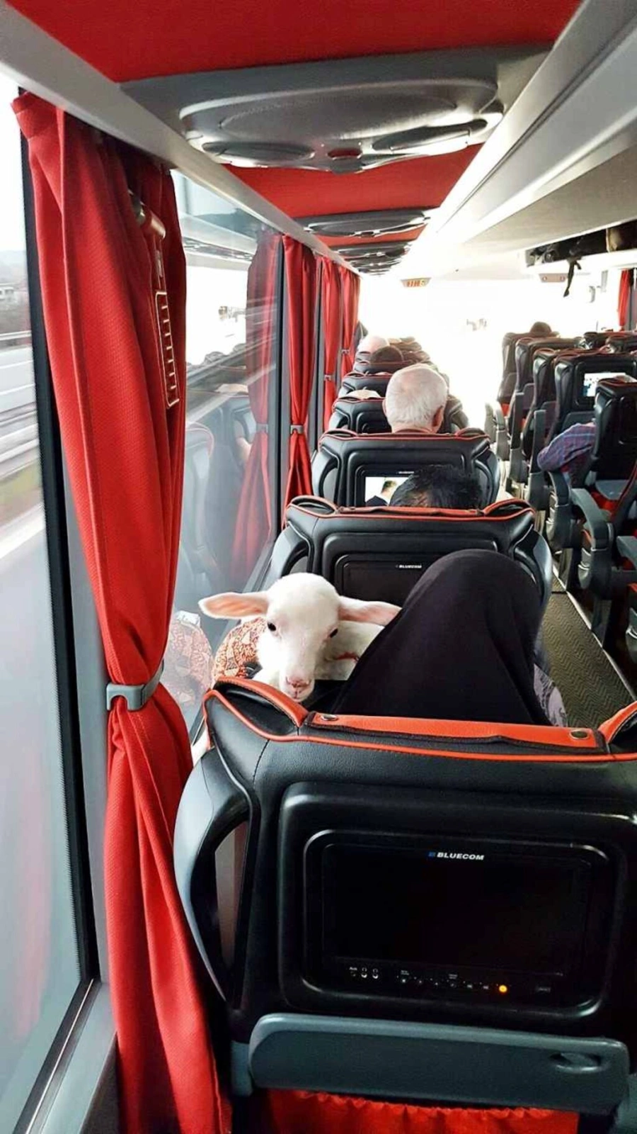 Sevgi'nin Kareleri Fotoğraflandı