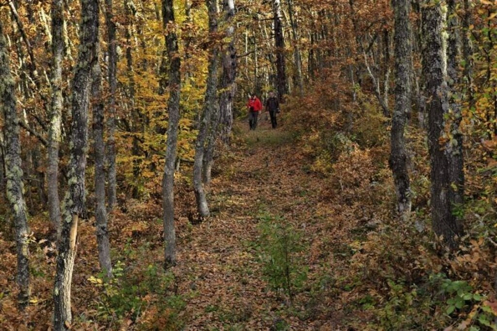 Karadeniz'de sonbahar bir başka güzel - Karadeniz'den sonbahar manzara fotoğrafları