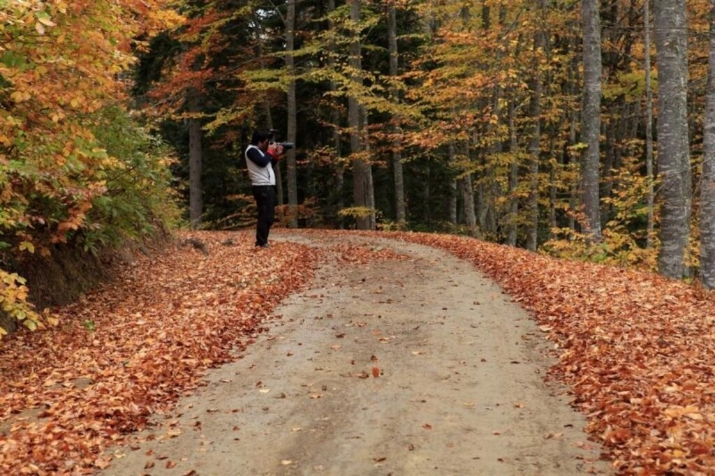 Karadeniz'de sonbahar bir başka güzel - Karadeniz'den sonbahar manzara fotoğrafları