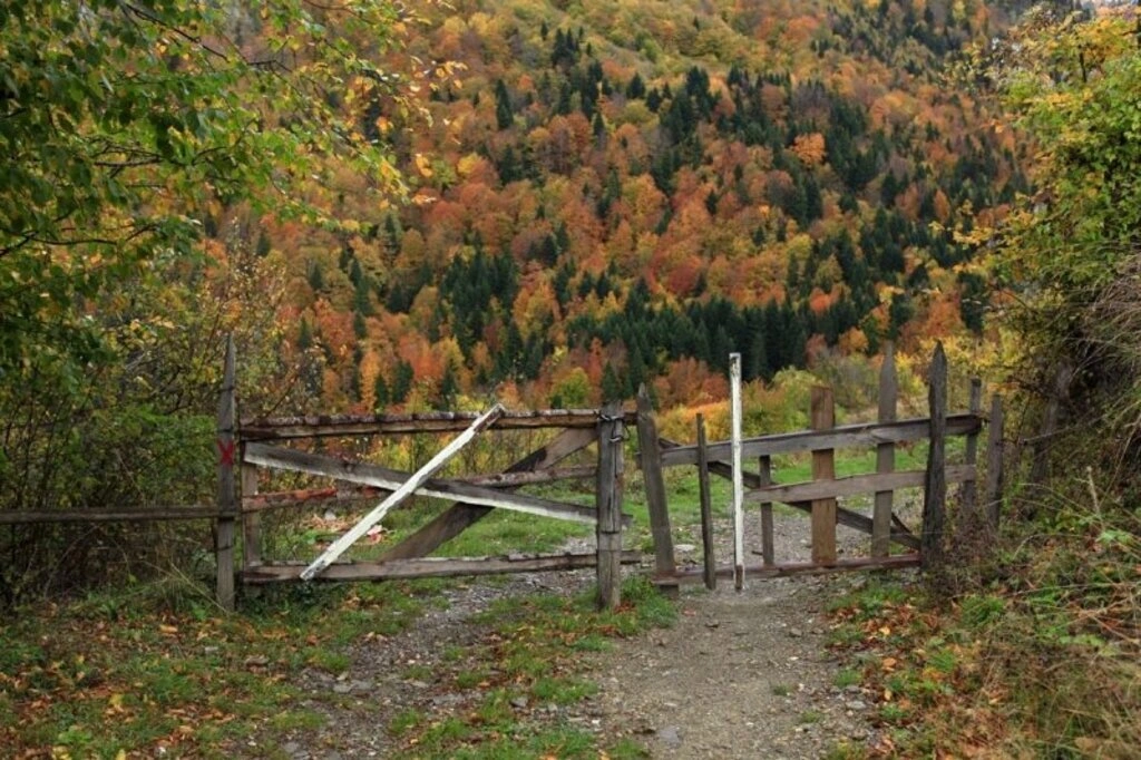Karadeniz'de sonbahar bir başka güzel - Karadeniz'den sonbahar manzara fotoğrafları