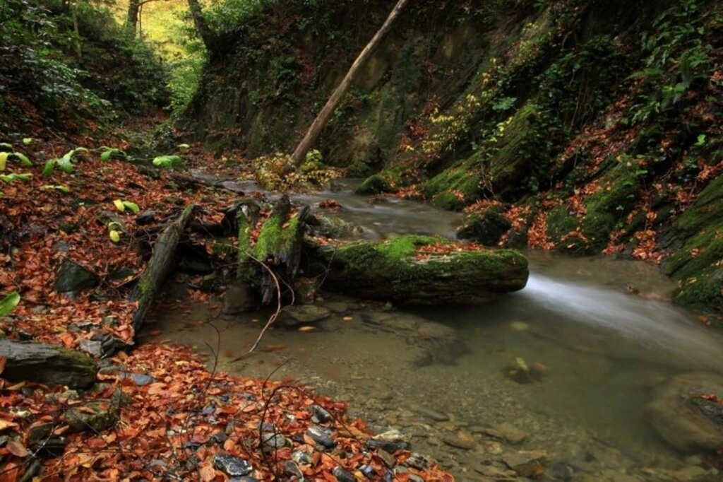Karadeniz'de sonbahar bir başka güzel - Karadeniz'den sonbahar manzara fotoğrafları