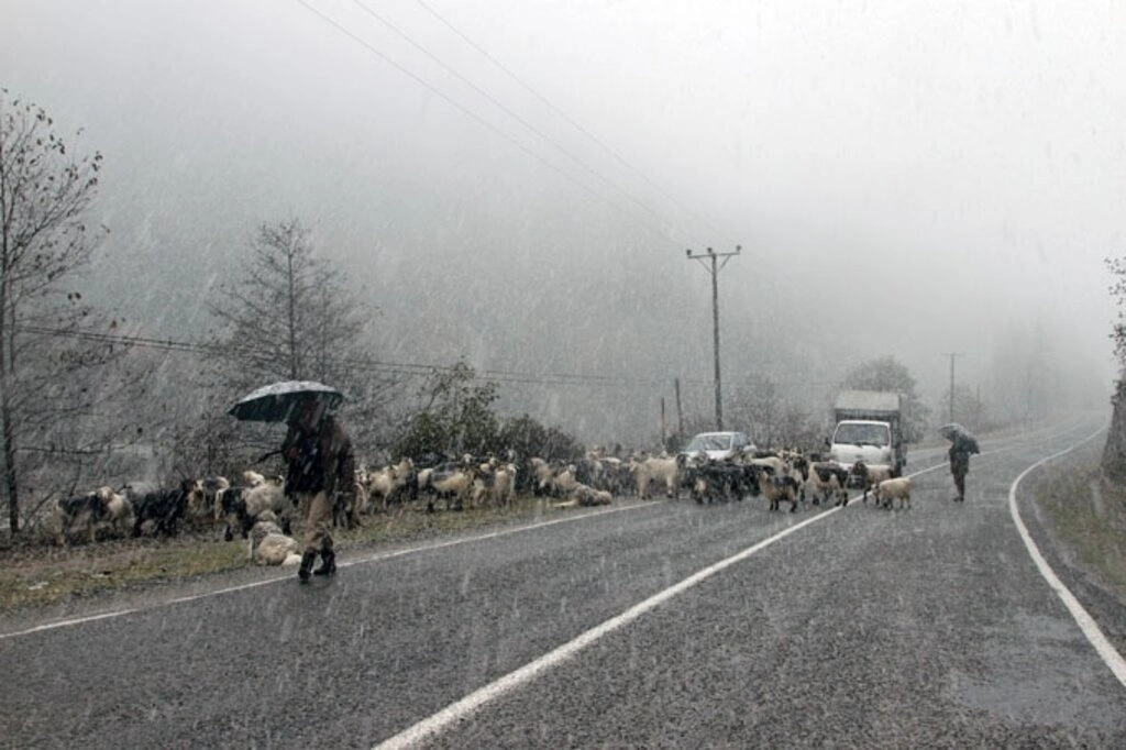 Karadeniz'den kar manzaraları , Zigana yine geçit veriyor...