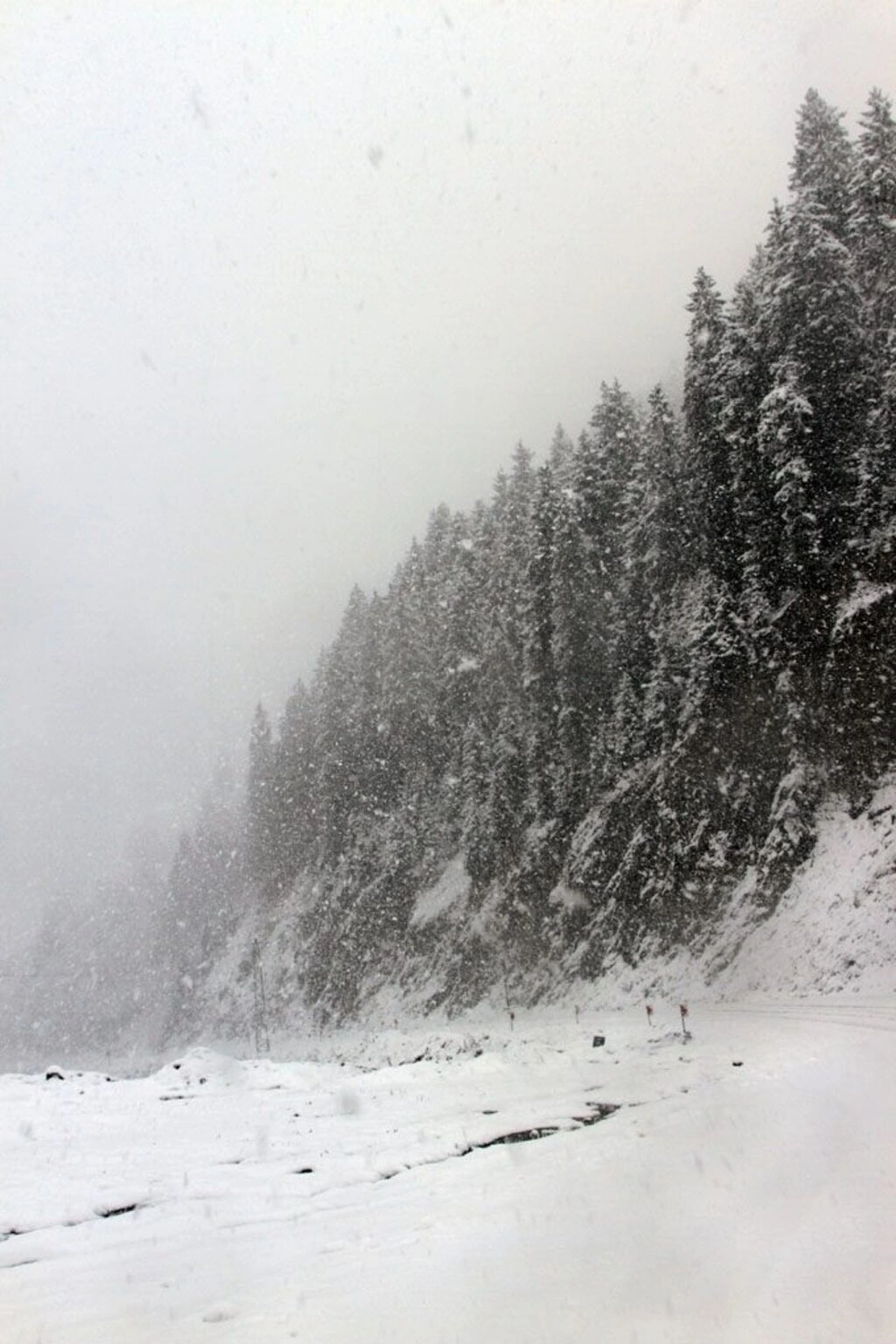 Karadeniz'den kar manzaraları , Zigana yine geçit veriyor...