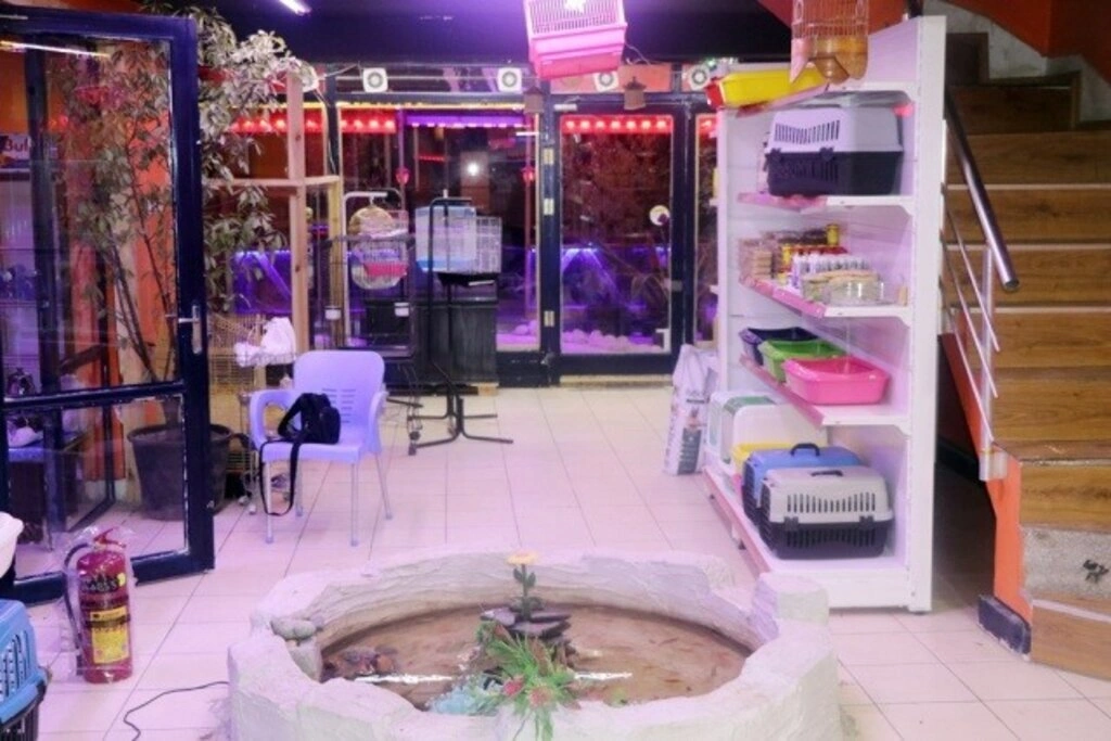 Kardelen Petshop hizmete girdi