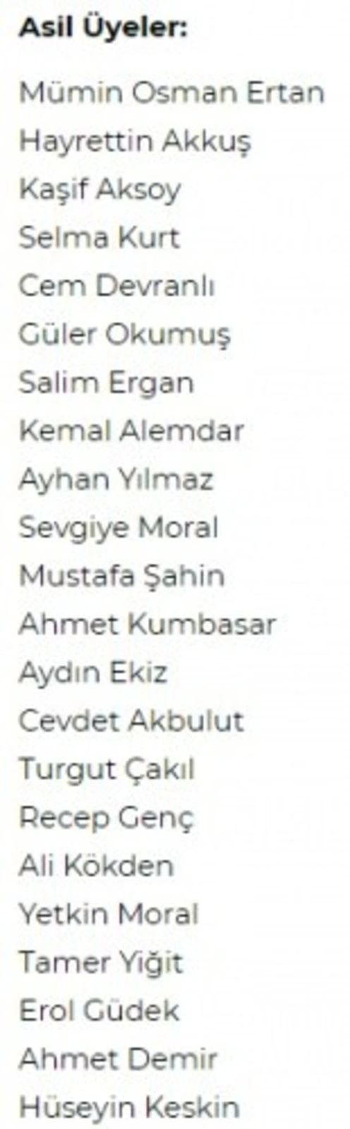 Terme AK Parti - MHP Belediye Meclis üyesi aday listesi
