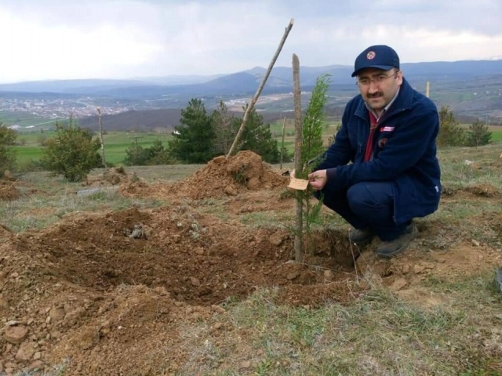 ÇEKUD'dan Samsun'a Yüzlerce Fidan