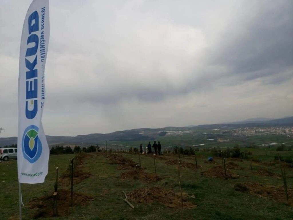 ÇEKUD'dan Samsun'a Yüzlerce Fidan