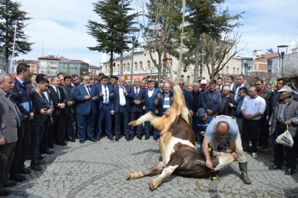 Havza Belediyesi'nde devir teslim töreni