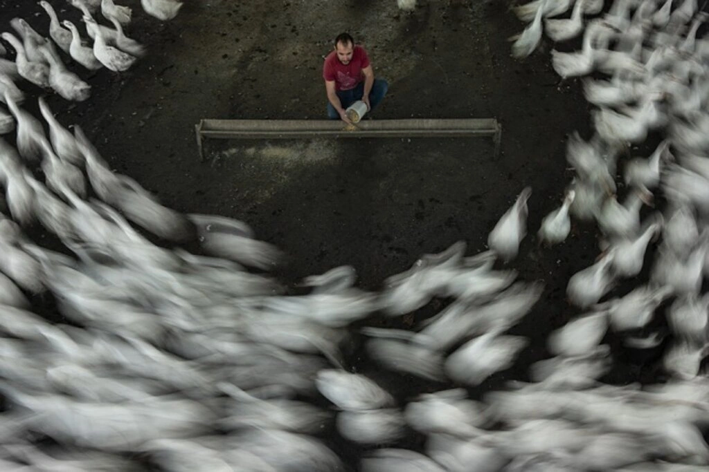 Nebiyan Doğa Festivali Fotoğraf Yarışması Sonuçlandı