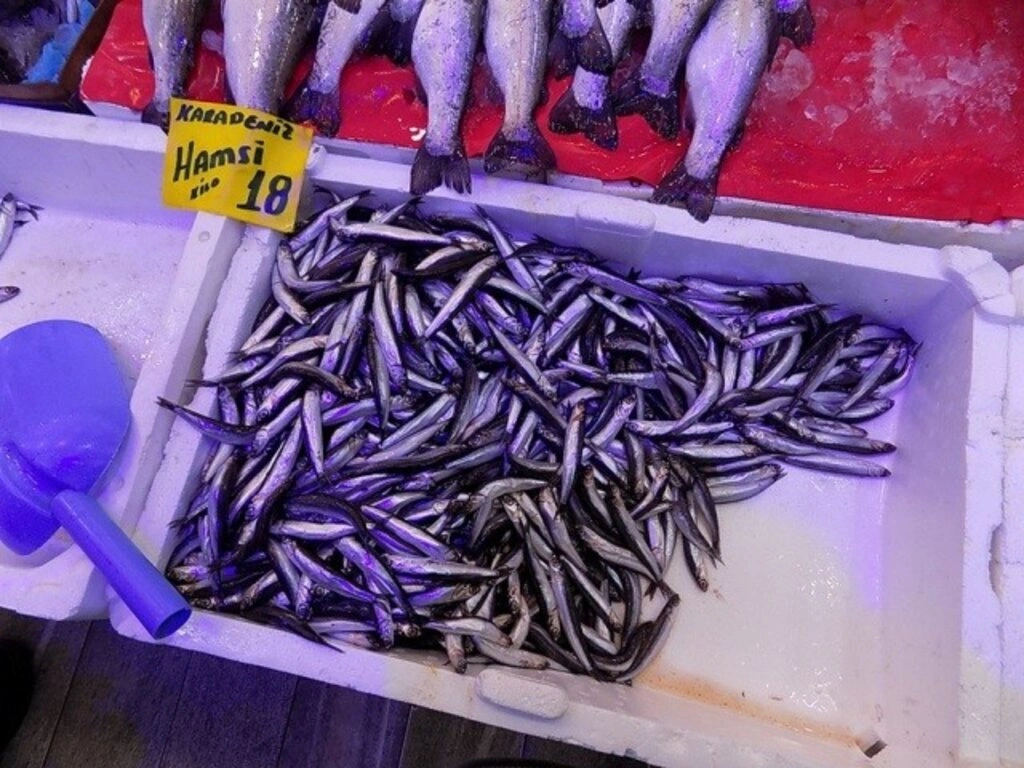 Samsun'da balık fiyatları