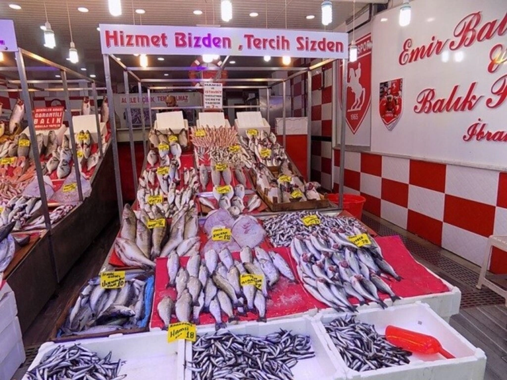 Samsun'da balık fiyatları