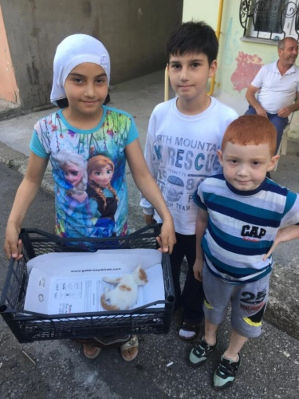 Sokak Hayvanları İçin Duyarlılık Çağrısı