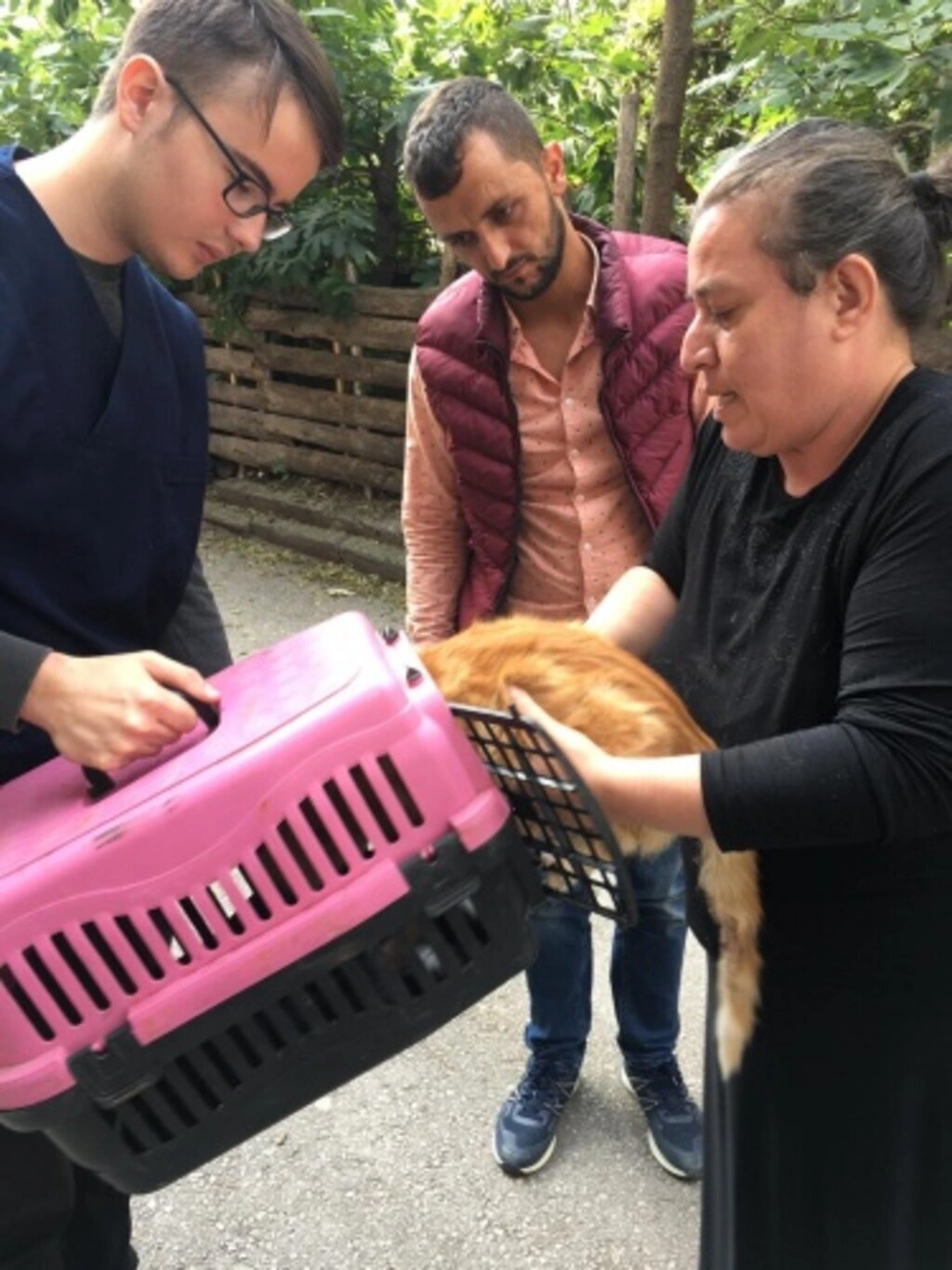 Sokak Hayvanları İçin Duyarlılık Çağrısı