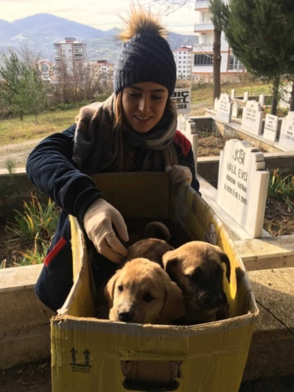 Sokak Hayvanları İçin Duyarlılık Çağrısı