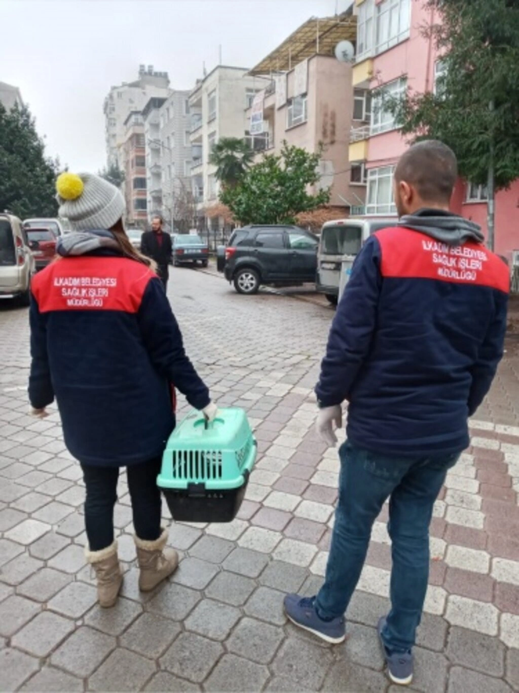 Sokak Hayvanları İçin Duyarlılık Çağrısı