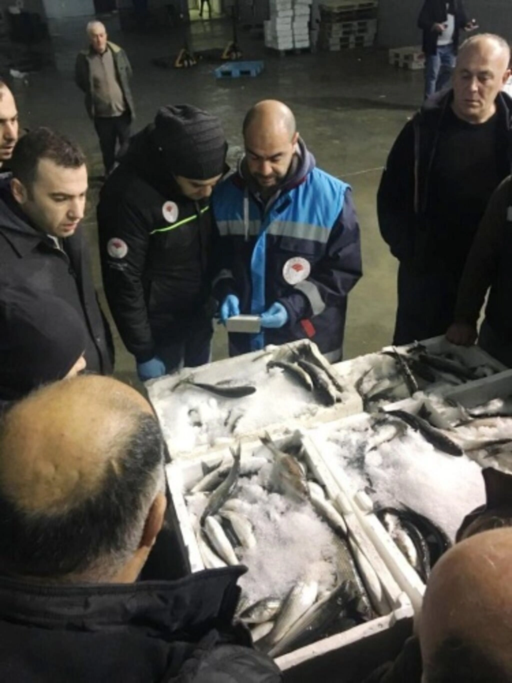 Yasa dışı Su Ürünleri Avcılığıyla Mücadele Denetimleri
