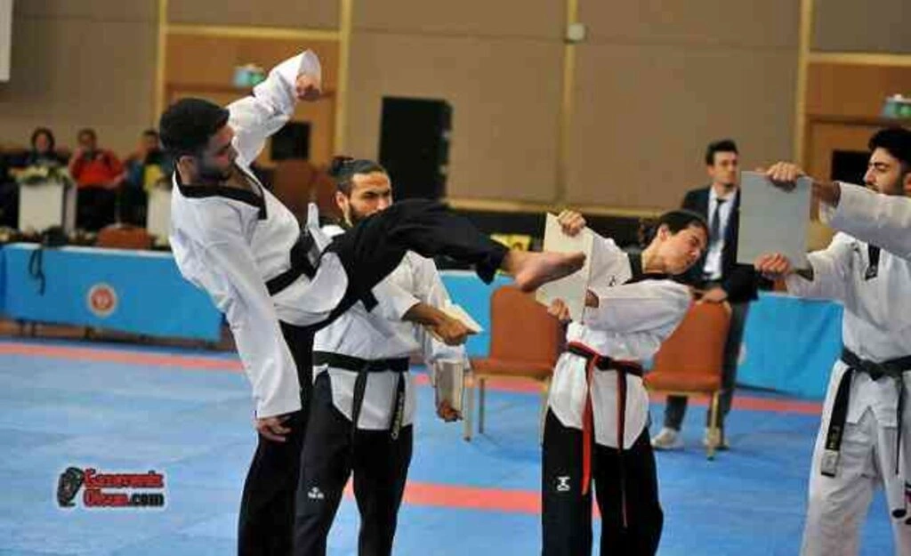 Taekwondoculardan Madalya Yağmuru