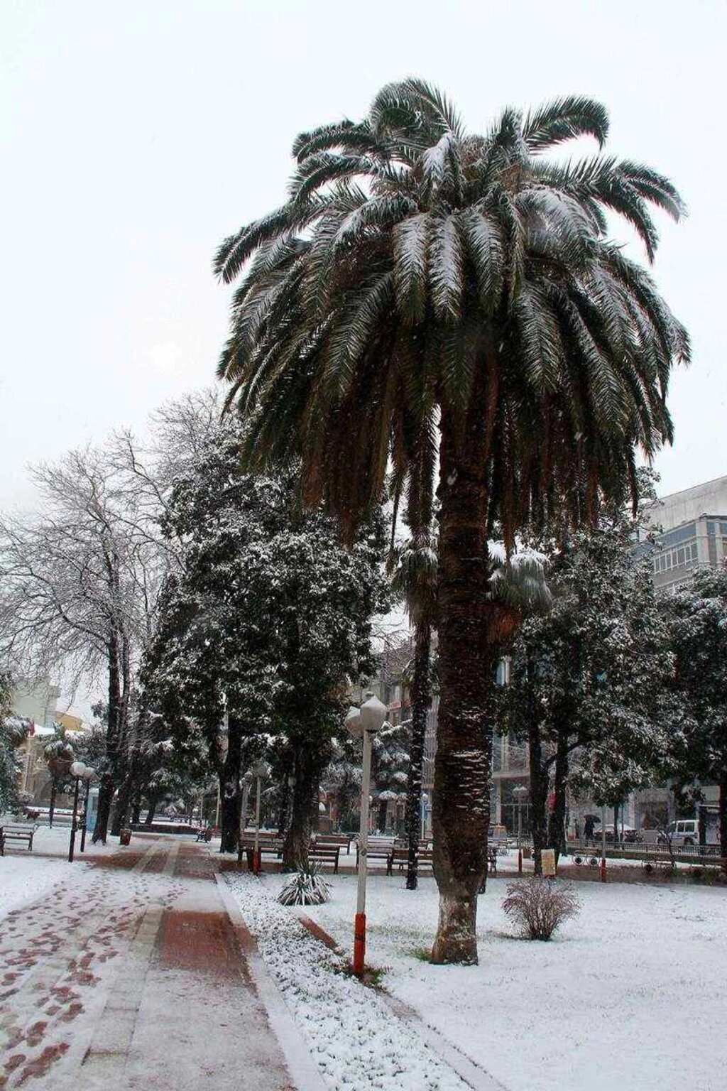 Samsundan kar manzaraları